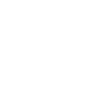 The_FutureList_Logo_White_Transparent